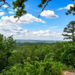 Pelham Alabama Dumpster Rentals